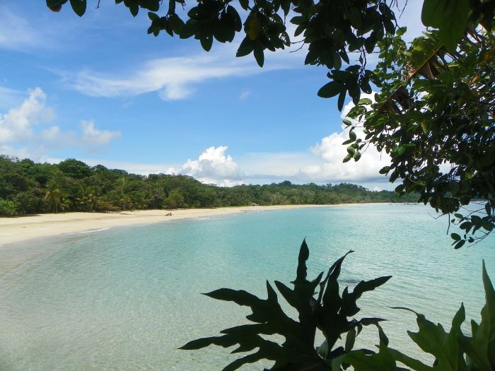 Isthmus of Panama: Red Frog Island
