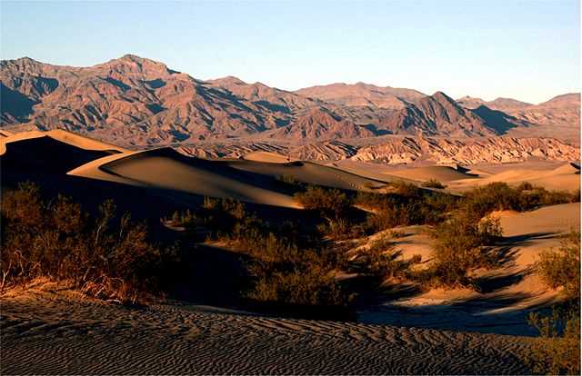 Death Valley National Park: Sand Dunes